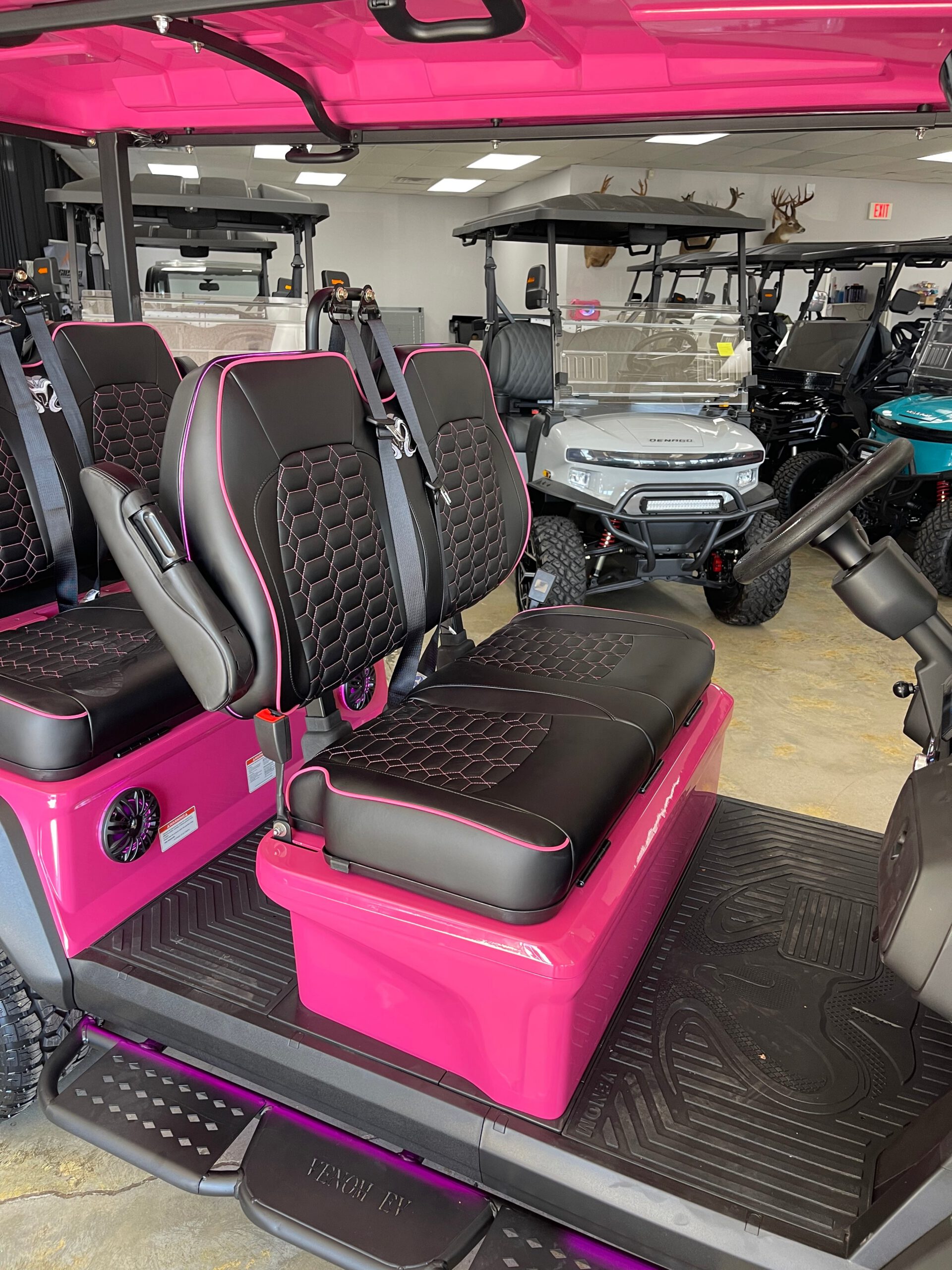 2026 Venom EV Stealth – Super Pink