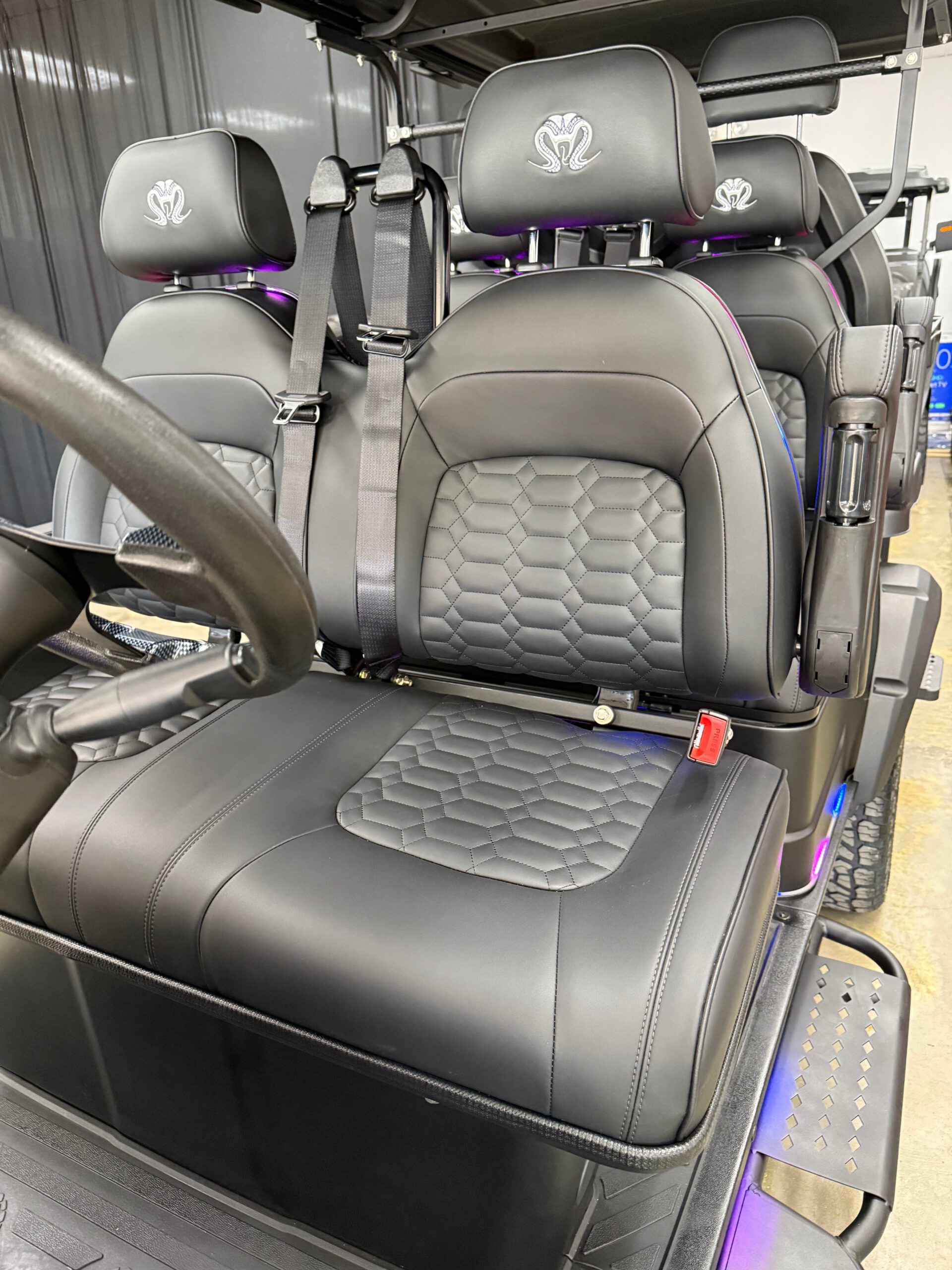 2026 Venom EV Strike 6 Seater – Matte Black